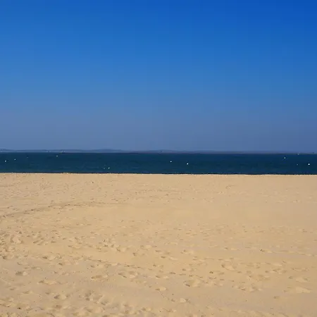 T2 Proche Centre Avec Terrasse Et Parking Sous-terrain - Fr-1-474-11 Apartment Arcachon