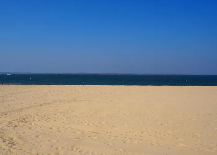 T2 Proche Centre Avec Terrasse Et Parking Sous-terrain - Fr-1-474-11 Apartment Arcachon